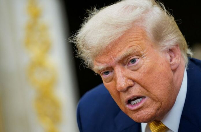 tramp 2.jpg tramp 2.jpg