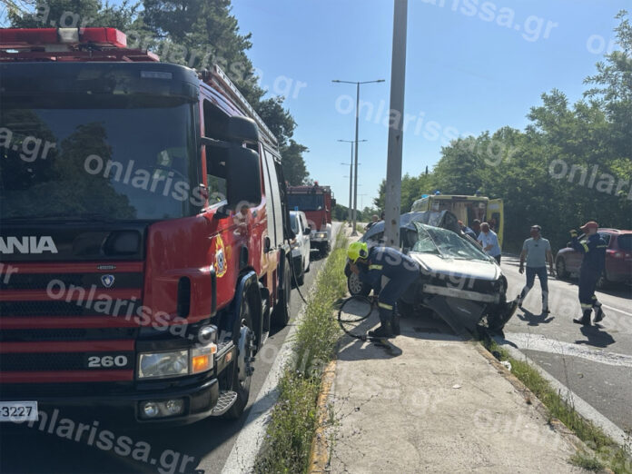 troxaio larissa 6.jpg