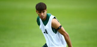 vayannidis 1200x630.jpg