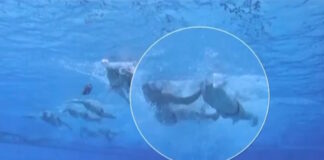 xalybopoylos grab 1200x630.jpg