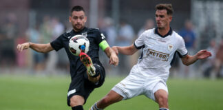 zivkovic 1200x630.jpg