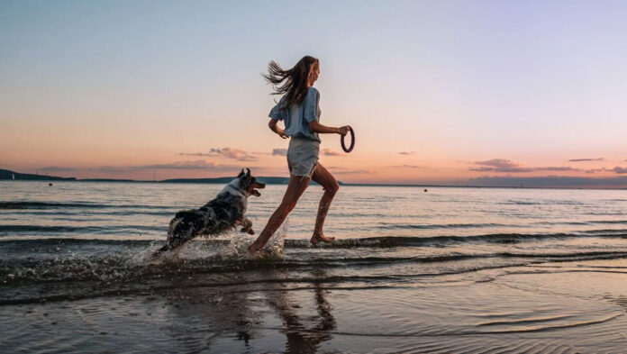 Βασικές εντολές που πρέπει να γνωρίζει ο σκύλος σας πριν.jpg