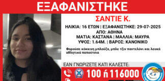 1182 1200x630 72.jpg