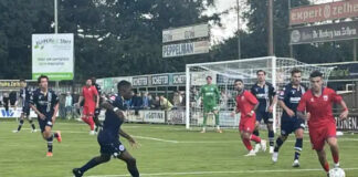 14ede03c 1154 4173 b5d8 452225e270e1.jpg