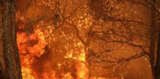 1755504623 fwties 1.jpg