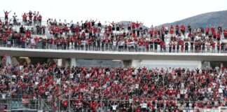 4355521 scaled e1755943460665.jpg