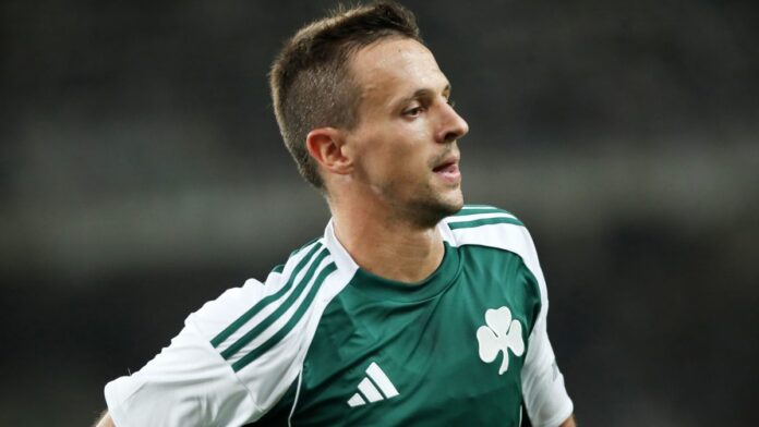 4756564 scaled e1755269577485.jpg