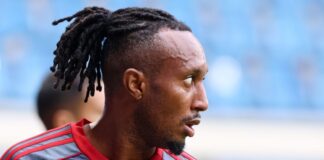 4758965 scaled e1754197742641.jpg