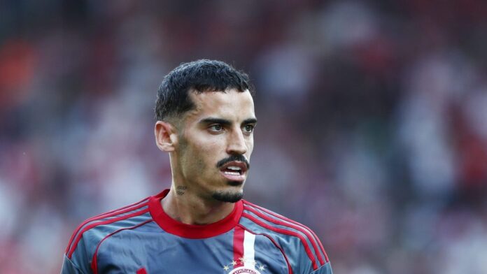 4763906 scaled e1754751950560.jpg