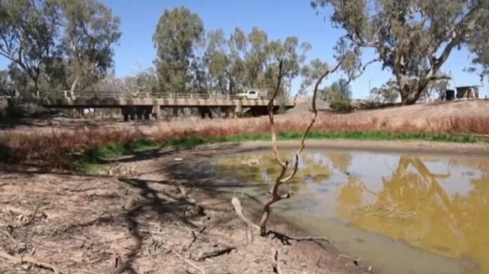 Capture 7.jpg Capture 7.jpg