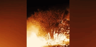 Capture 83.png