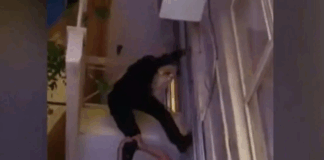 Capture 89.png
