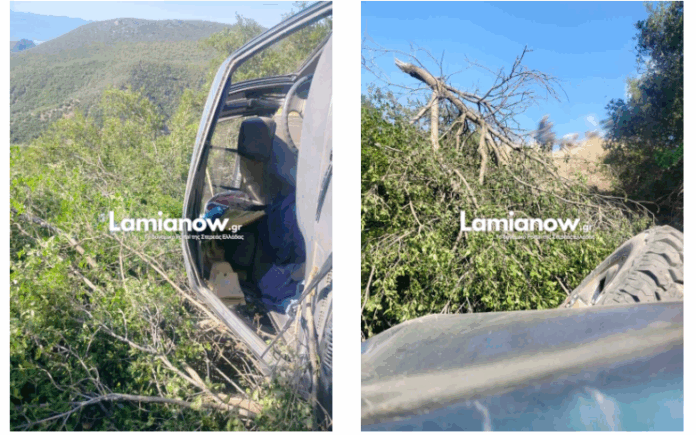 amaksi.png amaksi.png