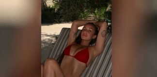 andromaxh 1200x630.jpg