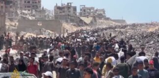 anthrwpisstikh krisi.jpg