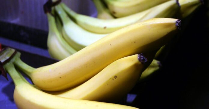 bananes eurokinissi 1200x630.jpg