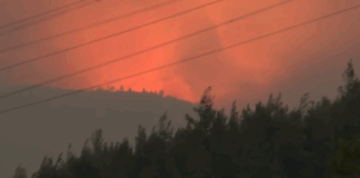 fo5.png