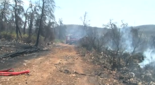 fotia8 2.png fotia8 2.png