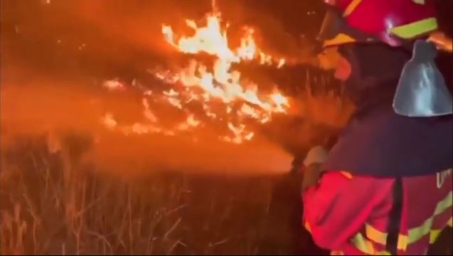 fotiaa.jpg fotiaa.jpg