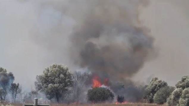 fotiaaaaaaaa 1.jpg fotiaaaaaaaa 1.jpg