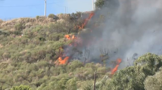 fotiaaaaaaaaaaa.jpg fotiaaaaaaaaaaa.jpg