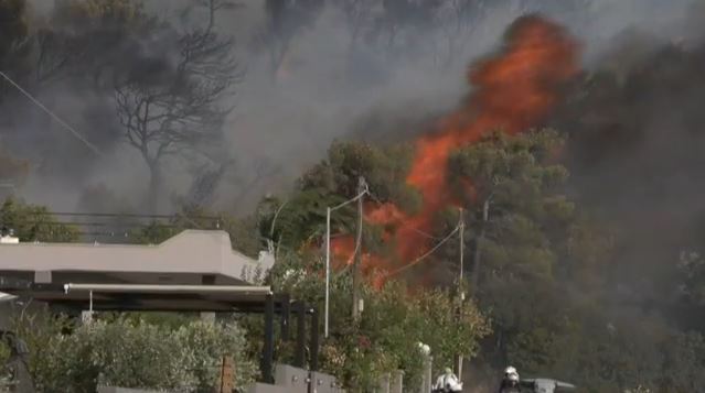 fotiaaaaaaaaaaaaaaaaaa.jpg fotiaaaaaaaaaaaaaaaaaa.jpg