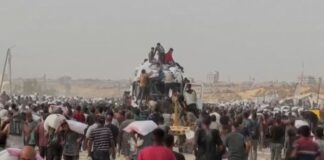 gaza 3.jpg