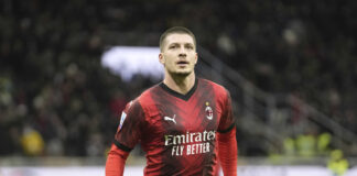 jovic ape scaled.jpg