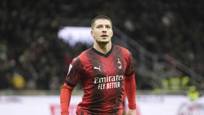 jovic ape scaled.jpg