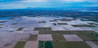 kakokairia daniel thessalikos kampos 1 606x412.jpg