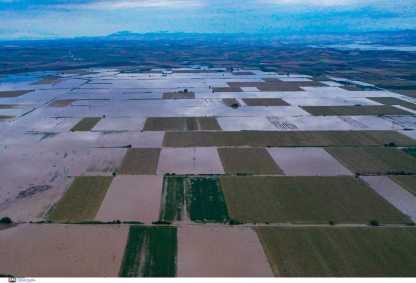 kakokairia daniel thessalikos kampos 1 606x412.jpg kakokairia daniel thessalikos kampos 1 606x412.jpg