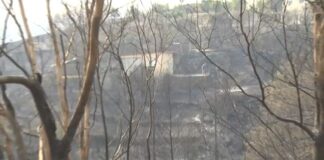 kamena.jpg