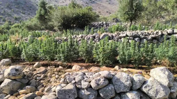 mani fyteia3.webp.webp mani fyteia3.webp.webp