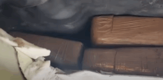 narkotika 1024x533.png
