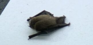 olumpiakos nuxterida 1200x630.jpg