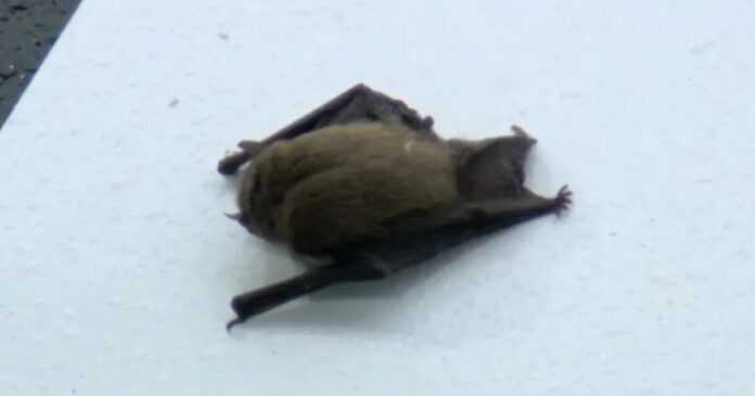 olumpiakos nuxterida 1200x630.jpg