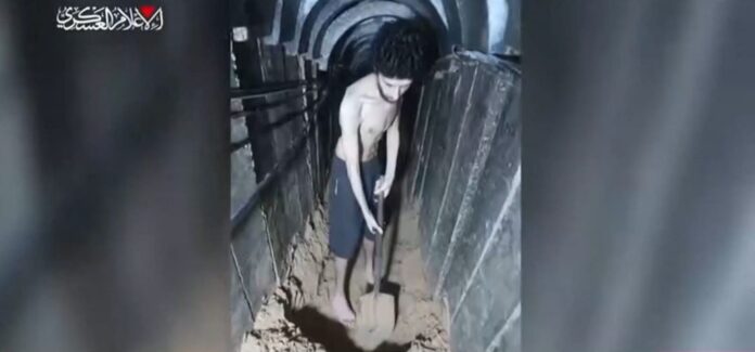 omiros 1024x478.jpg omiros 1024x478.jpg