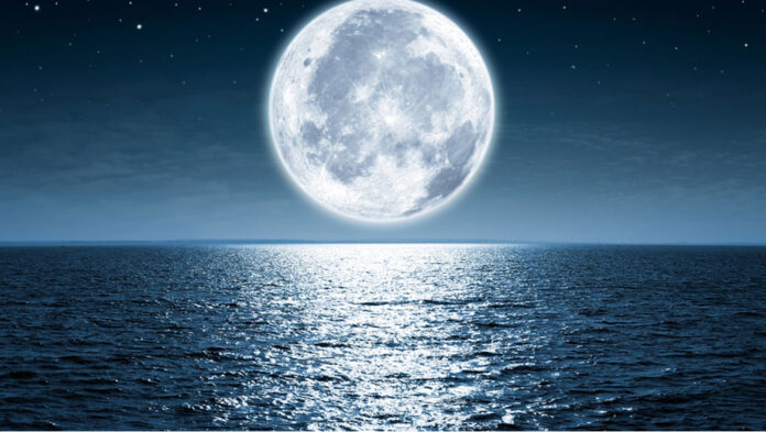 paneslinos.jpg paneslinos.jpg