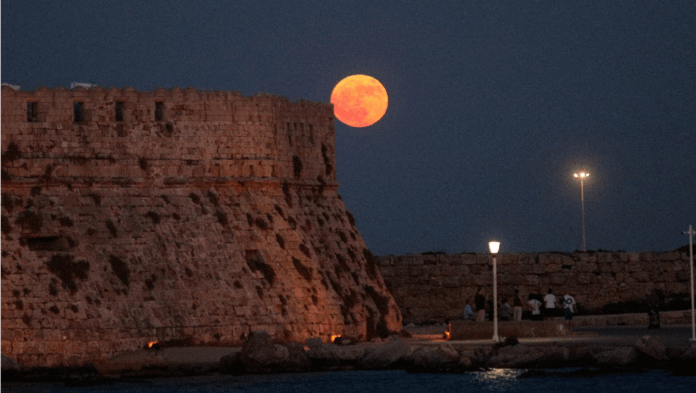 panselinos.gif panselinos.gif