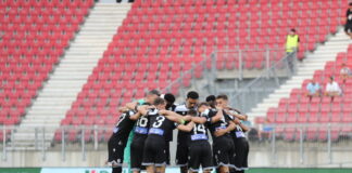 paokall 1200x630.jpg