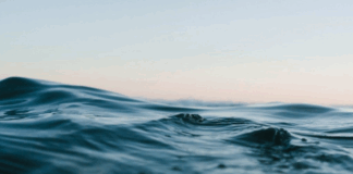 pnigmo 1024x555.png
