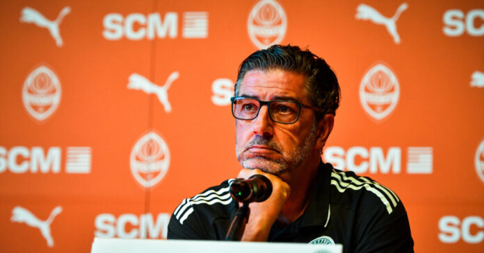 royi bitoria 1200x630.jpg