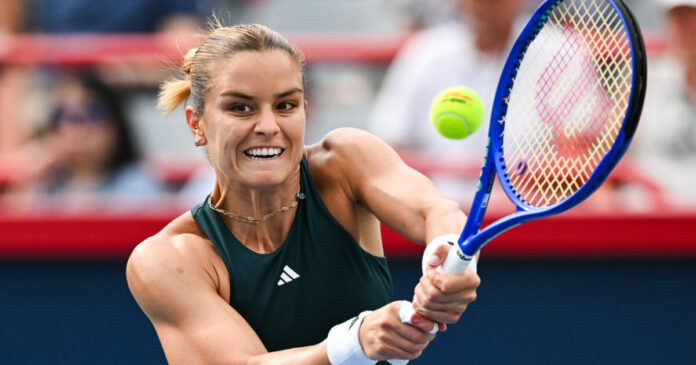 sakkari 2 1200x630.jpg sakkari 2 1200x630.jpg