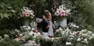 taylor swift arravonas 1 1200x630.jpg