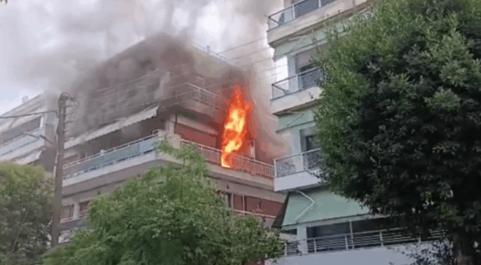 thes 1.png thes 1.png