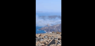 tinos.png