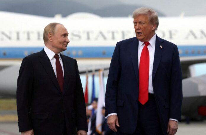 tramp 6.jpg tramp 6.jpg