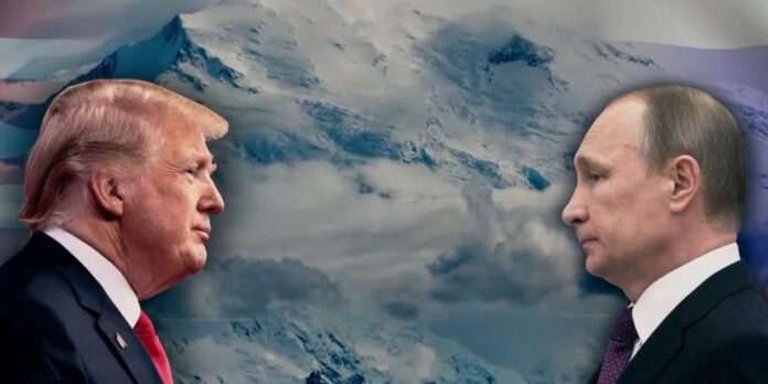 tramppp 1 1024x512.jpg