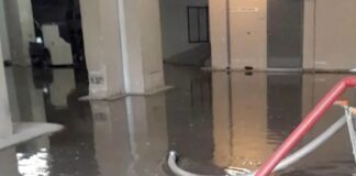 trikala nosok.jpg