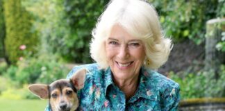 vasilissa kamilla r 1200x630.jpg